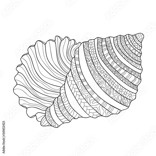 Hand drawn seashell with small and middle patterns on white isolated background. Ocean decorative object. For coloring book pages.