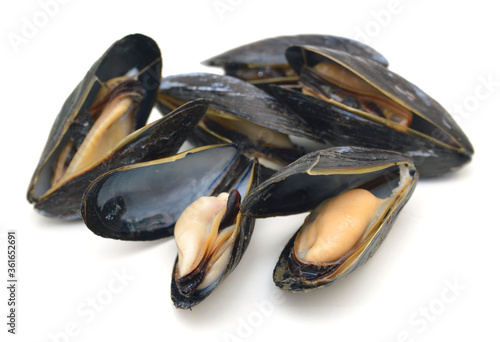 group of boiled mussels in shells isolated on white background