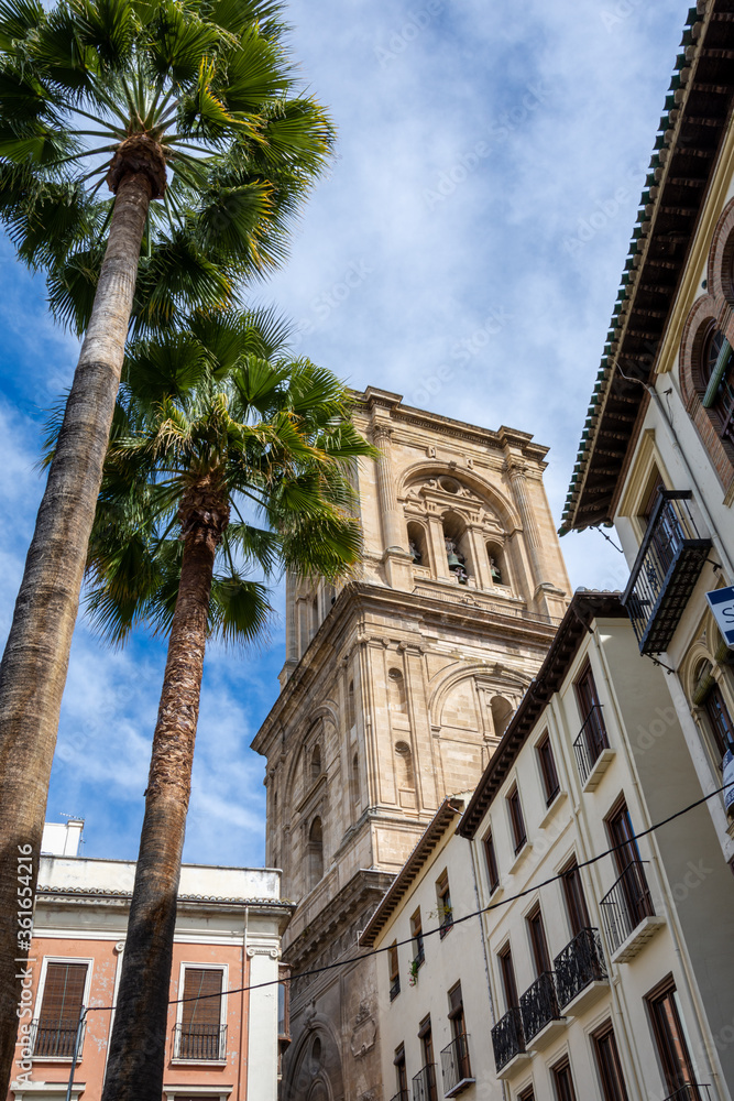 Granada Cathedral bell tower next to two tall palm trees seen from a low angle