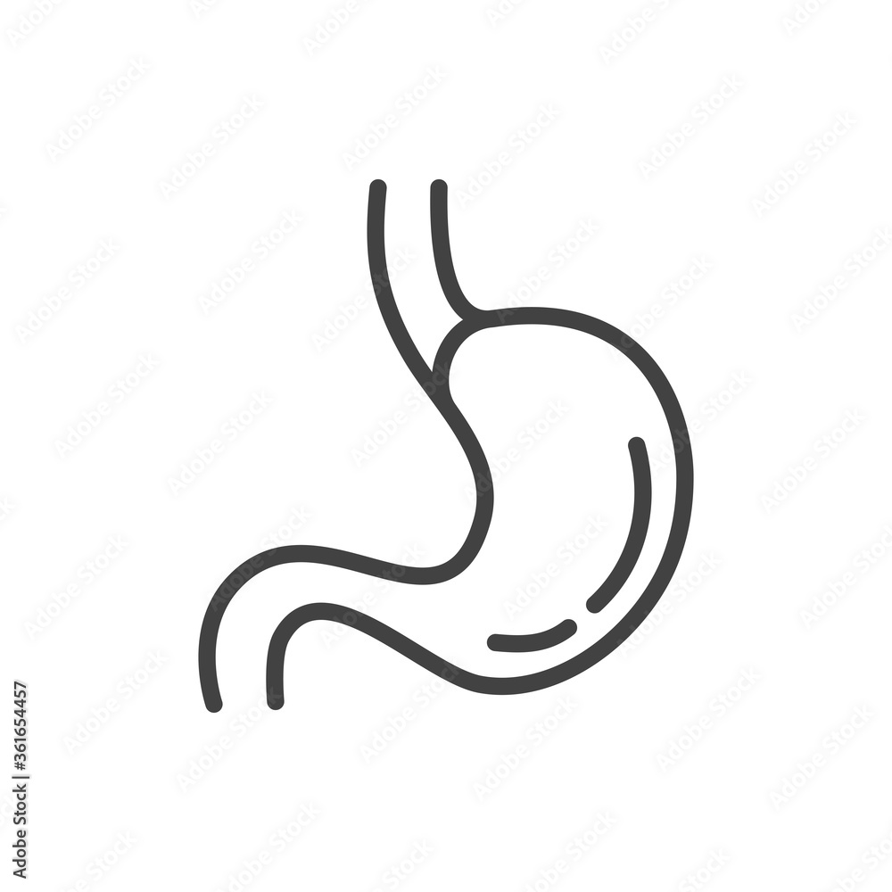 Stomach organ outline icon. Medicine and healthcare, medical support sign. Vector illustration.