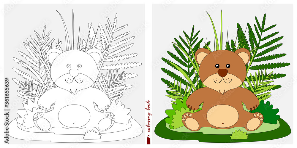 Fototapeta premium Black and white and color images for a color book. Contour drawing with children's themes. A bear cub is sitting in a clearing among reeds and ferns. For color books, children's prints, postcards