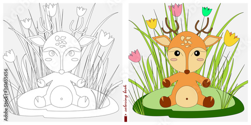 Black and white and color images for a color book. Contour drawing with children's themes. A fawn is sitting in a clearing among reeds and ferns. For color books, children's prints, postcards
