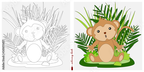 Black and white and color images for a color book. Contour drawing with children's themes. In a clearing among reeds and ferns sits a baby monkey. For color books, children's prints, postcards