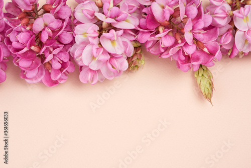 flowering branch Robinia neomexicana with pink flowers on a beige background © nndanko