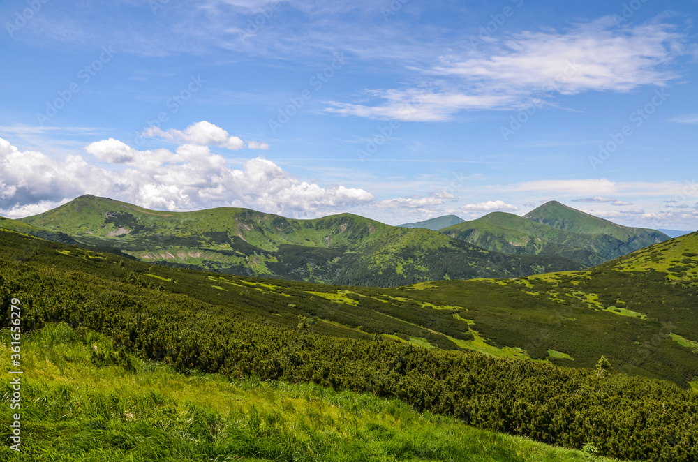 Panoramic view to mount Hoverla and Petros, highest peaks Chornohora mountain ridge in summer day. Carpathian Mountains, Ukraine Panoramic view to mount Hoverla and Petros, highest peaks Chornohora mountain ridge in summer day. Carpathian Mountains, Ukraine