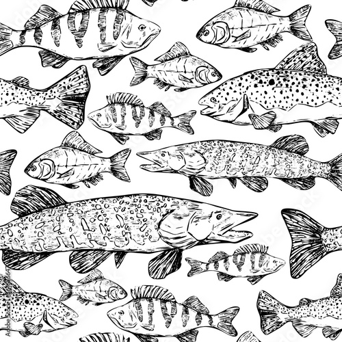 Hand drawn vector seamless pattern of river fish. Trout, Perch, Pike, Crucian realistic ink sketches background. Vintage monochrome animalistic design for wallpaper, wrap, textile, card, print, fabric