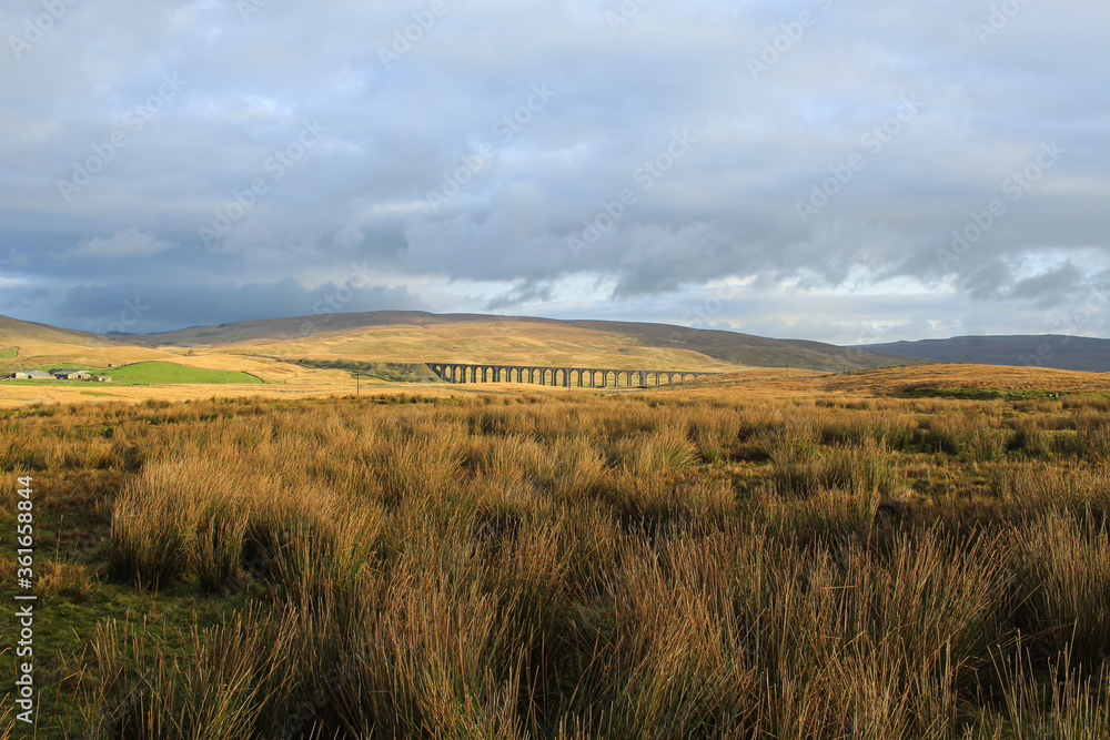 Fototapeta premium Ribblehead Viaduct in United Kingdom during a winter morning