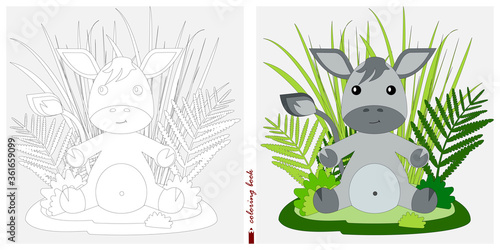 Black and white and color images for a color book. Contour drawing with children's themes. In a clearing among reeds and ferns sits a baby donkey. For color books, children's prints, postcards