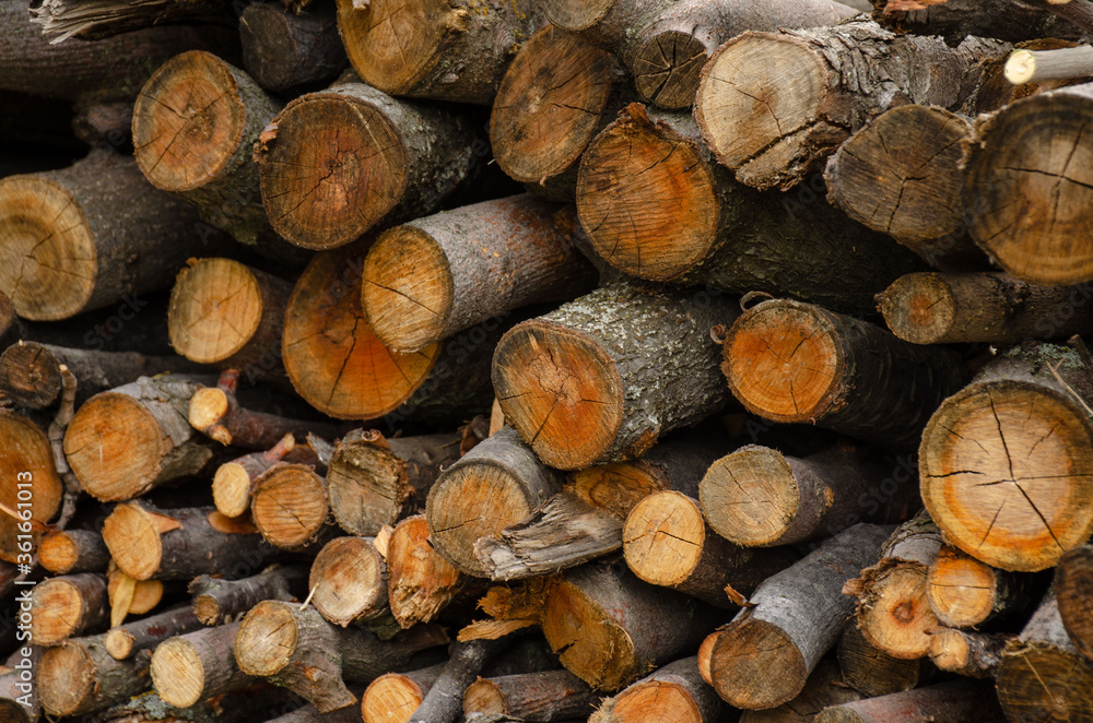 Neatly stacked wooden logs. A lot of cut wood as a background