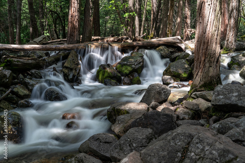 small waterfall in the forest