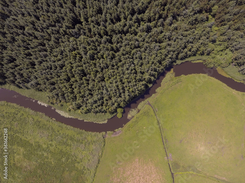 Wallpaper Mural aerial view of river in the forest Torontodigital.ca
