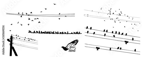 A flock of flying birds. Set of different bird flocks. Birds on the wires. Vector illustration