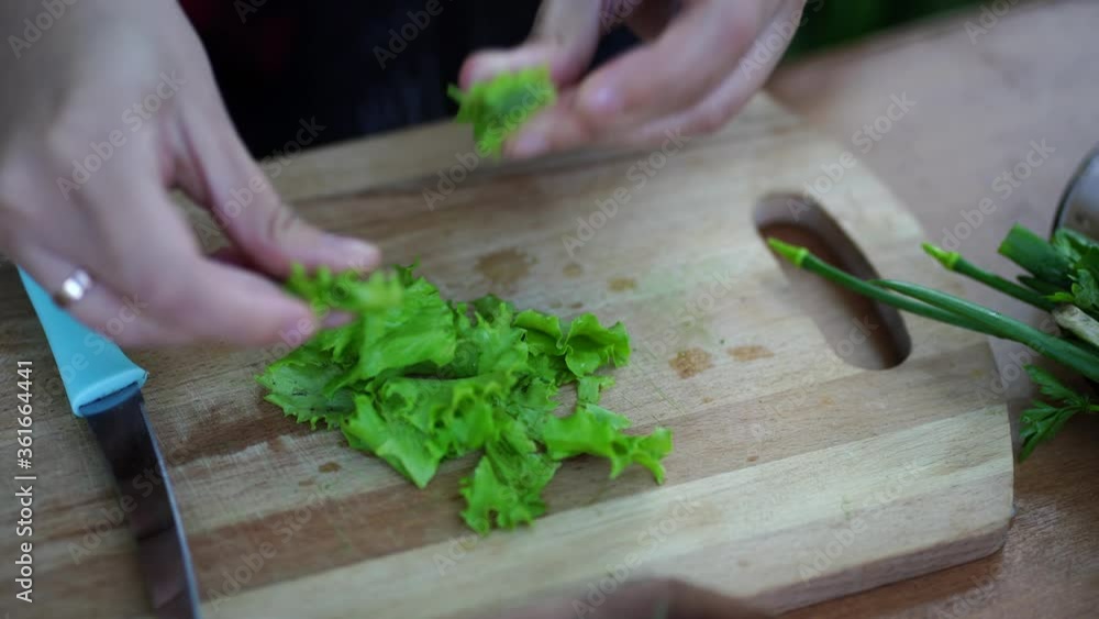 Close up of woman's hands tearing lettuce and putting in plate. Close up of woman's hands tearing lettuce and putting in plate.