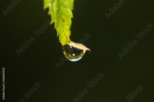 water drop