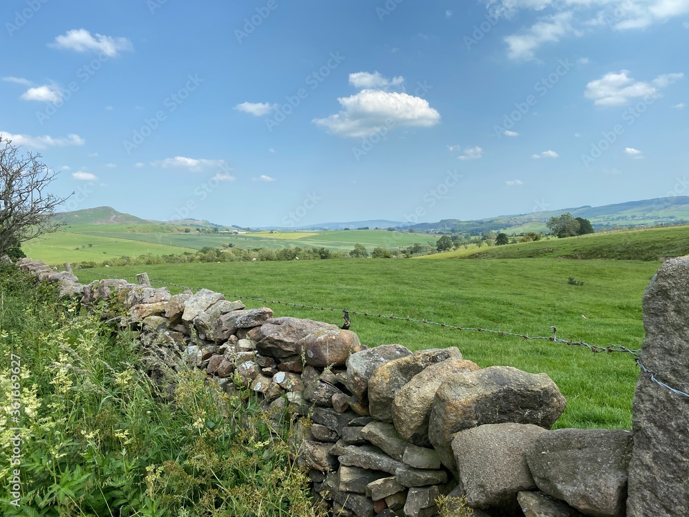 Landscape view, looking toward Grassington, with a dry stone wall, green meadows, and plants in, Skipton, Yorkshire, UK 
