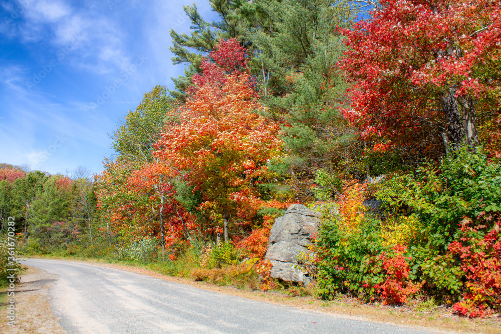 Naklejka premium October Fall Colors in Muskoka, Ontario, Canada