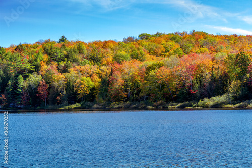 Fall colors in Muskoka lakes, Ontario, Canada