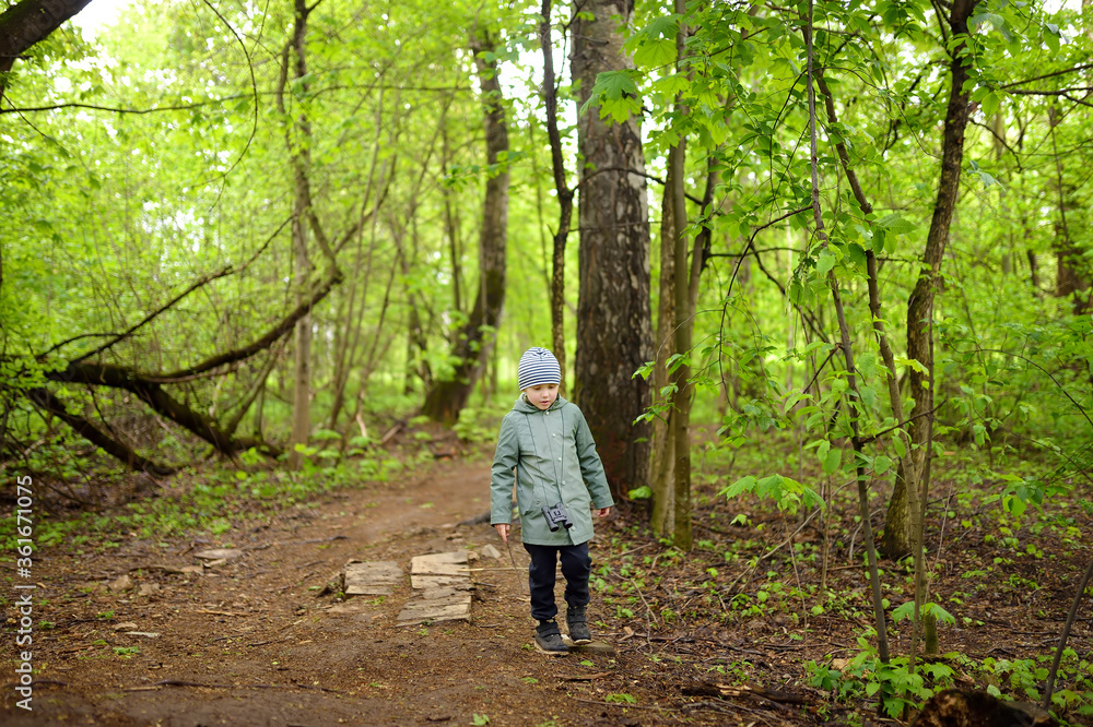 Preschooler child walking in forest. Kid playing and having fun in spring or summer day. Preschooler child walking in forest. Kid playing and having fun in spring or summer day.