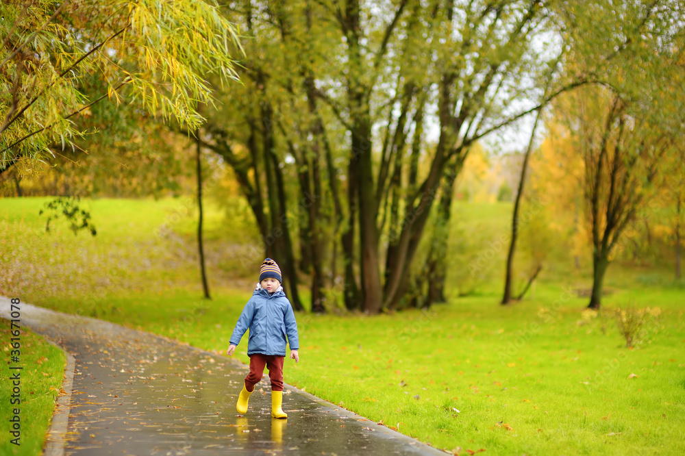 Preschooler boy walking in autumn park. Outdoor activities for children.