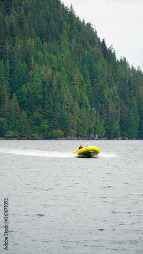 Kodiak in Alaska photo