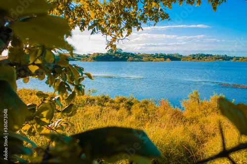 autumn in the park