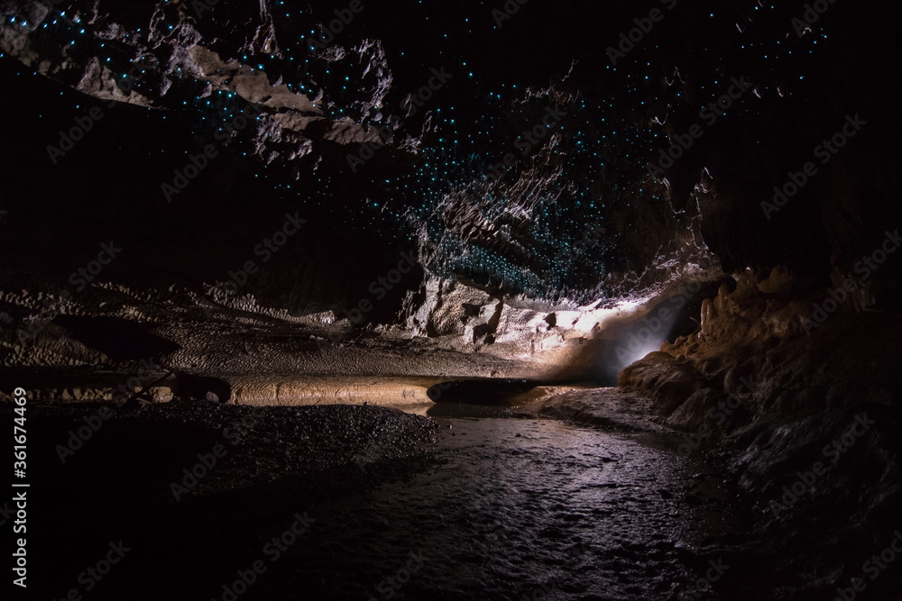 Naklejka premium Blue glow worms inside the cave, New Zealand