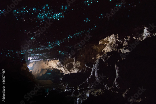 Blue glow worms inside the cave, New Zealand