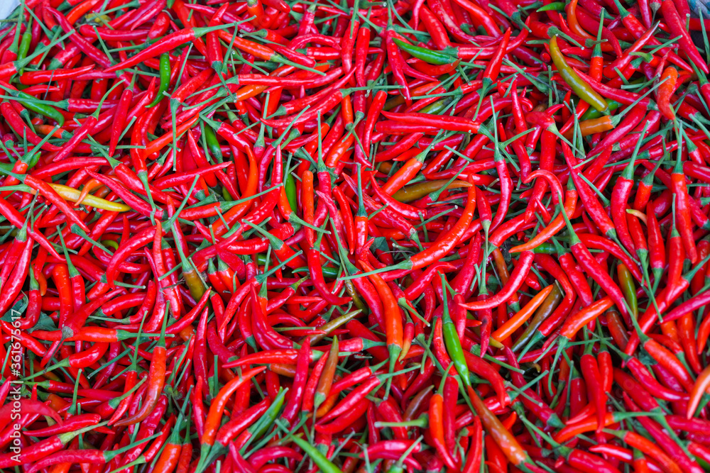 fresh red chillies