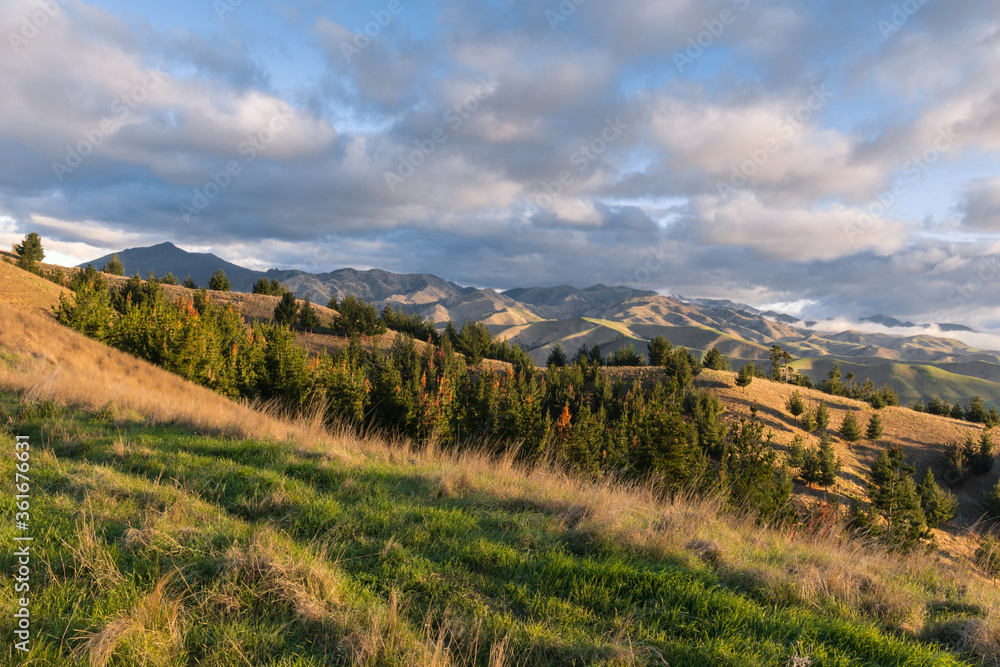 Wither Hills in Marlborough region in New Zealand at sunset 