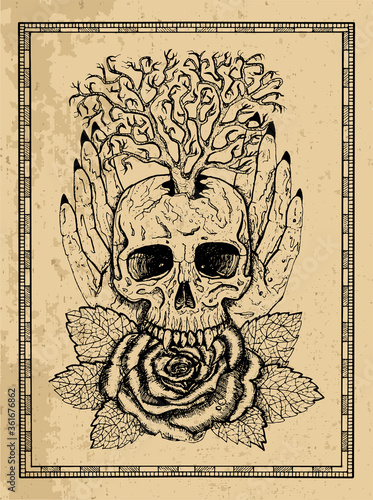 Wiccan emblem with skull, human hands, rose flower and tree in frame. Esoteric, occult and gothic vector illustration with symbols of death, Halloween mystic background, engraved outline drawing