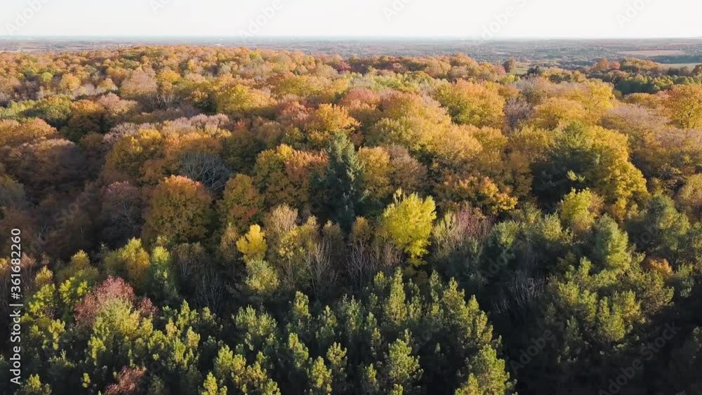 Autumn landscape with evergreen and deciduous trees Autumn landscape with evergreen and deciduous trees