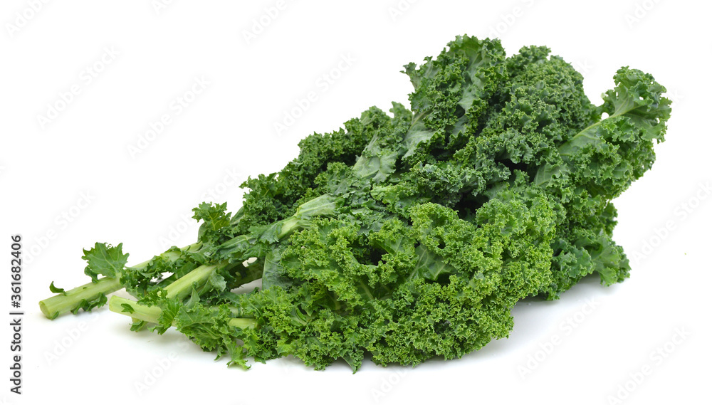 freshly harvested kale cabbage on a white background freshly harvested kale cabbage on a white background