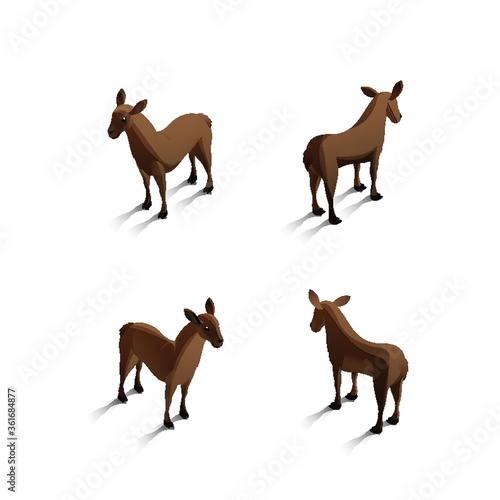 Isometric mules © captainvector
