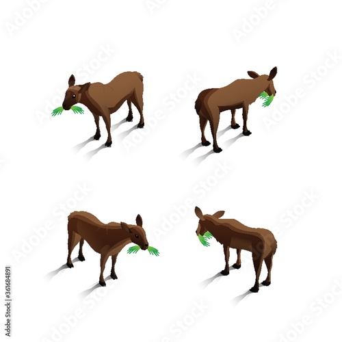 Isometric mules