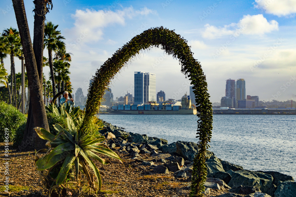 Obraz premium Agave Framed Skyline