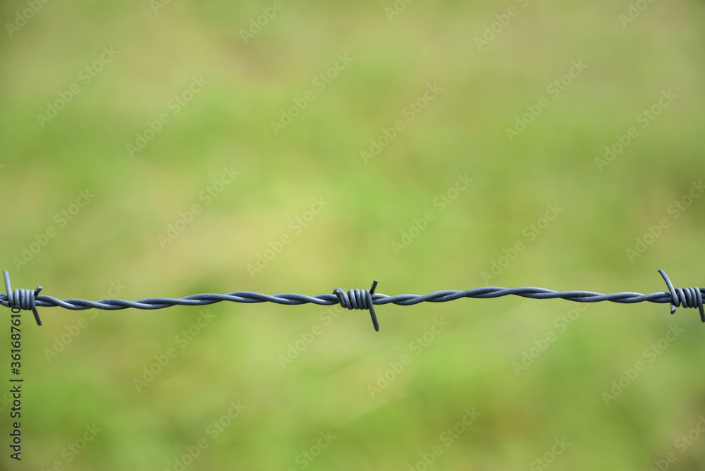 Green background with space for text with a piece of barbed wire running across the image