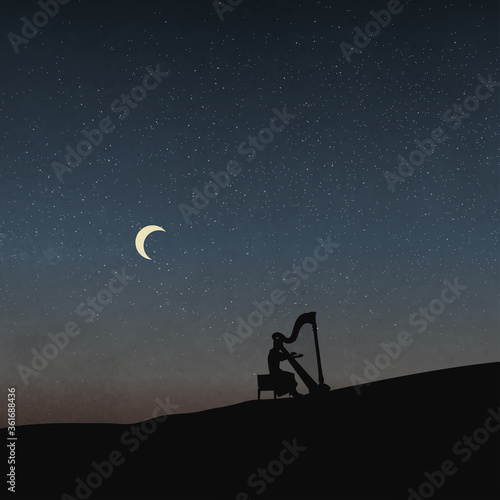 A Girl Playing The Harp Under The Moonlight