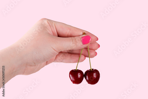 Close up. Beautiful female hand holds cherry berries on pink background. © svdolgov