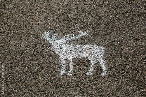 Painted deer crossing on the road