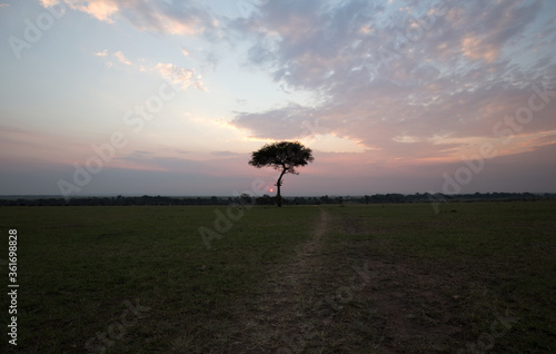 Sunset in Africa. Kenya. 