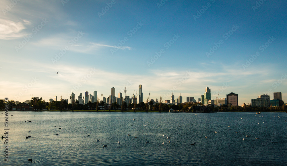 Panoramic view of Melbourne city from Albert Park on a sunny day Panoramic view of Melbourne city from Albert Park on a sunny day