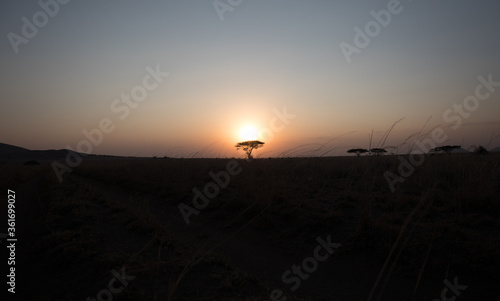 A sunset in Kenya from a low angle.