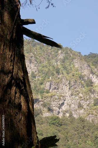 Natural Wildlife Park in Mexico