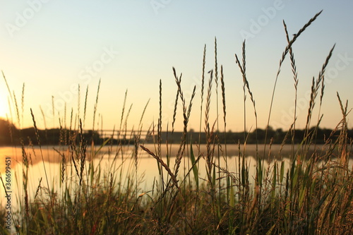 sunset over the lake