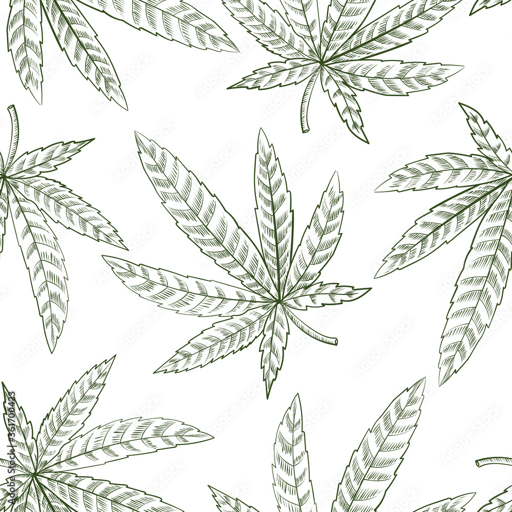 Fototapeta premium vector drawing seamless pattern with cannabis leaf