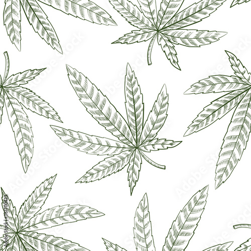 vector drawing seamless pattern with cannabis leaf