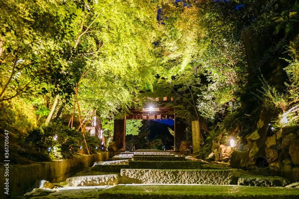 Obraz premium 高台寺 台所坂