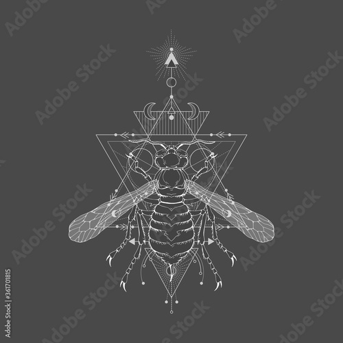 Vector illustration with hand drawn wasp and Sacred geometric symbol on black vintage background. Abstract mystic sign. White linear shape.