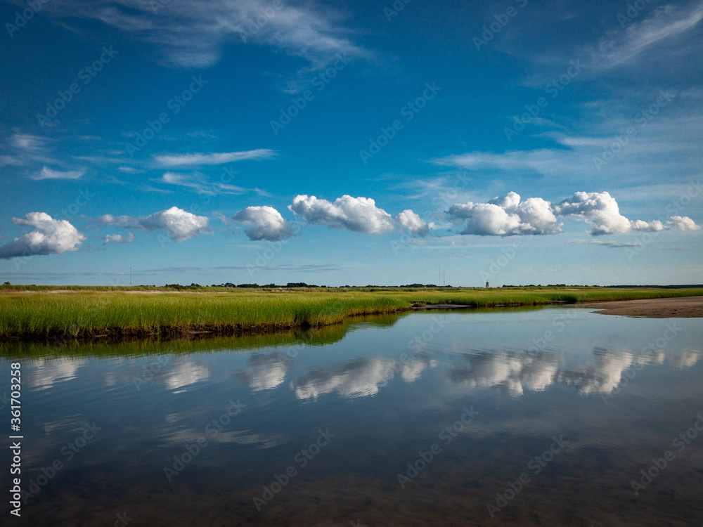 Clouds on the marsh
