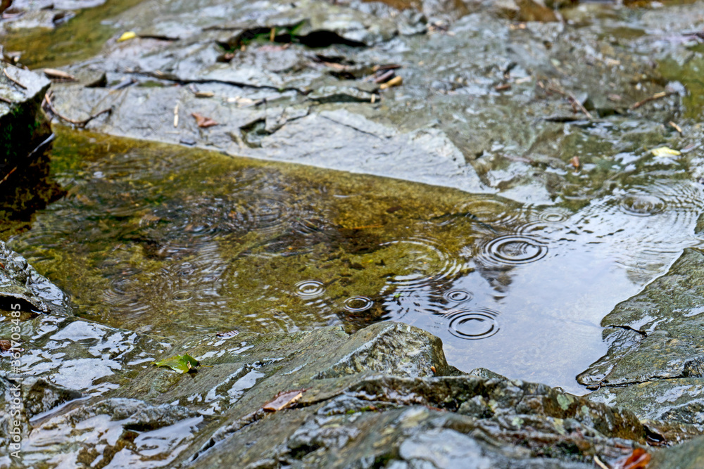 Obraz premium 岩の水たまり